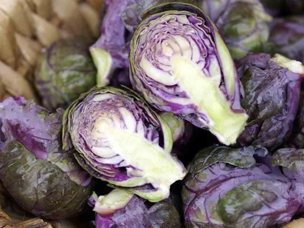 Brussels Sprout - 'Redarling F1' Questions & Answers