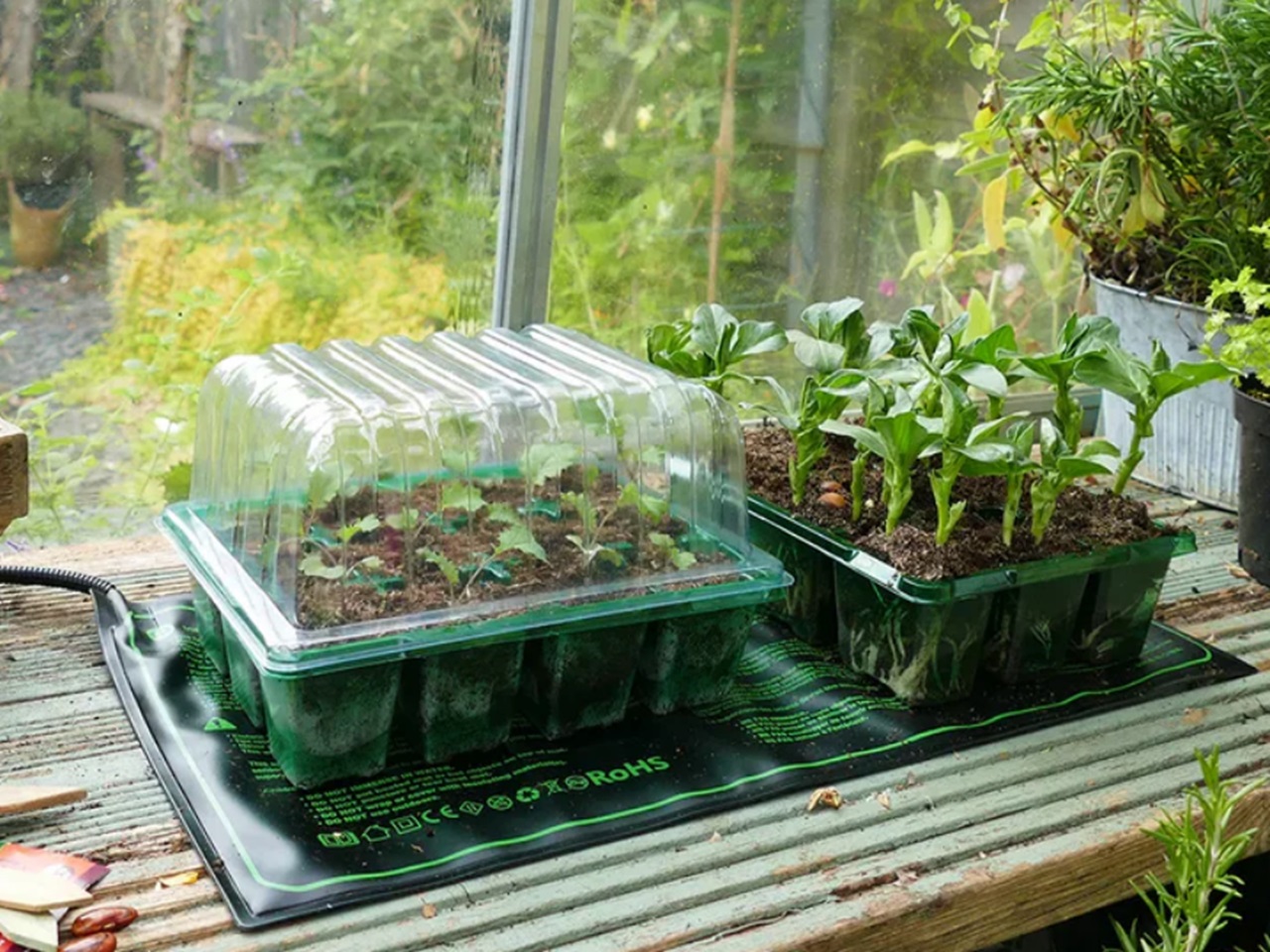 can i link multiple mats together? Can I add a thermostatic control?
