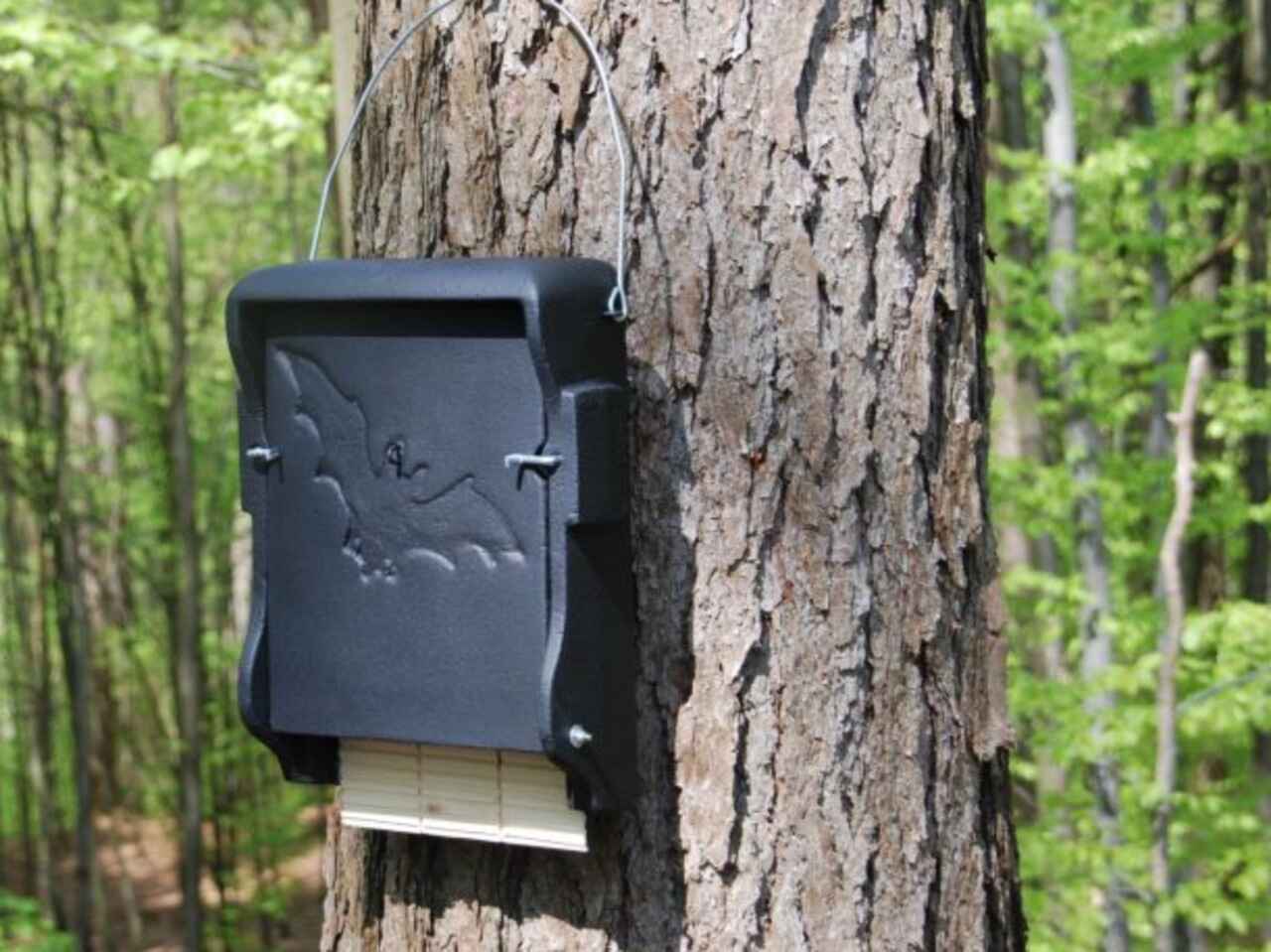 Schwegler Flat Woodcrete Bat Box - 1FF Questions & Answers