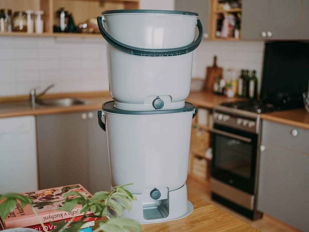 What are the dimensions of the Organco Essential with base (double unit)?