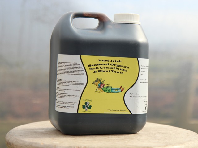 Seaweed tonic dosage