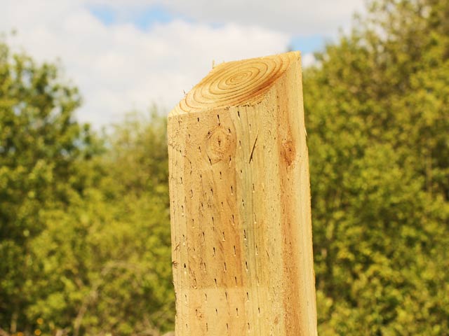 Square Garden Sloped Posts / Fencing Stakes Questions & Answers