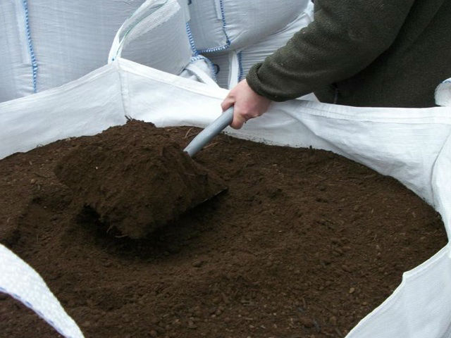 Lawn Screened Topsoil with 20% Horticultural Sand Questions & Answers