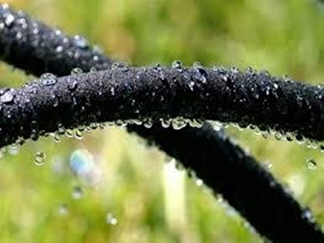 The description says this is a “rubber” hose - is the hose natural rubber or synthetic?