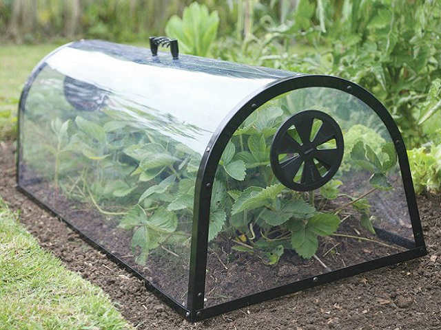 Hi, when will these cloches be back in stock? Thanks