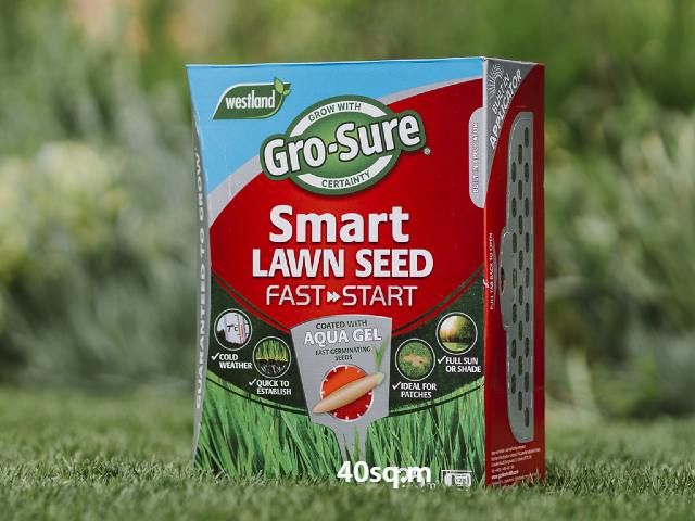 Do you stock ryegrass free lawn seed