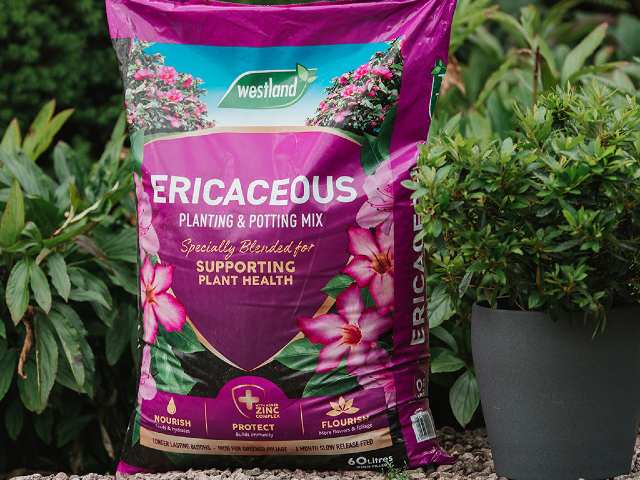 Westland Ericaceous Compost - 50l Questions & Answers