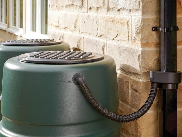 Universal Rain Trap for Water Butts Questions & Answers